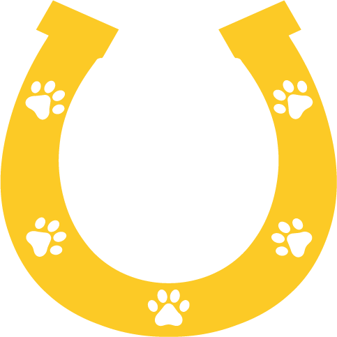 LOOMALE PAI